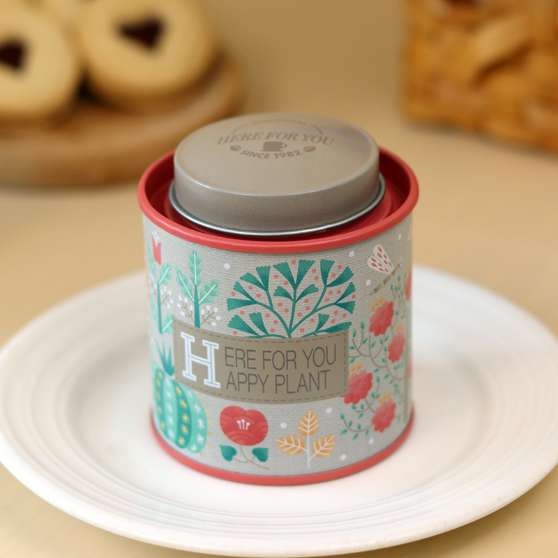 Double Lid Tea Tin Can